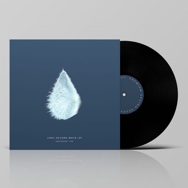 Vinyl Mastering